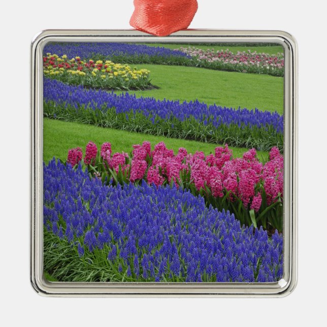 Pattern of Grape Hyacinth, tulips, and Metal Ornament (Front)