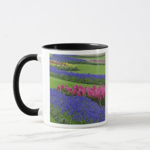 Pattern of Grape Hyacinth, tulips, and Mug
