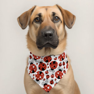 Pattern Of Ladybugs, Cute Ladybugs, Red Ladybugs Pet Bandana Collar