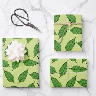 Pattern Of Leaves, Leaf Pattern, Spring Leaves Wrapping Paper Sheets