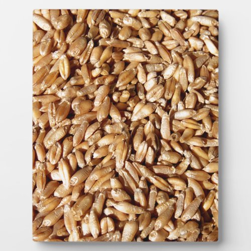pattern of many small fresh wheat grains plaque