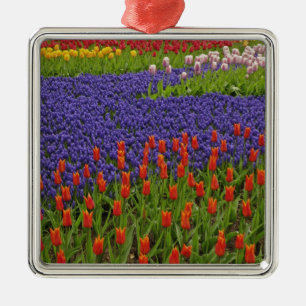 Pattern of tulips and grape hyacinth flowers, 2 metal ornament