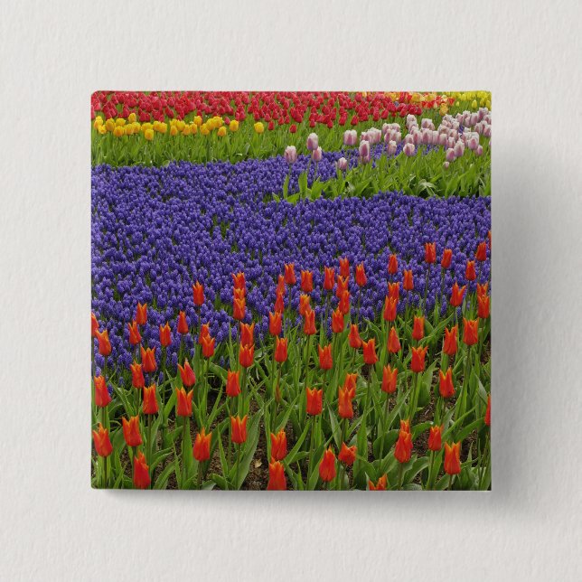 Pattern of tulips and grape hyacinth flowers, 2 pinback button (Front)