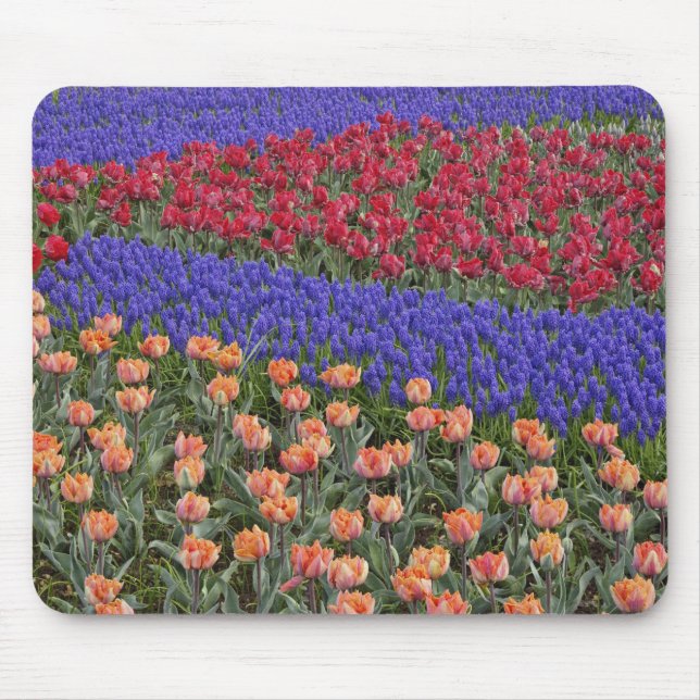 Pattern of tulips and Grape Hyacinth flowers, 3 Mouse Pad (Front)
