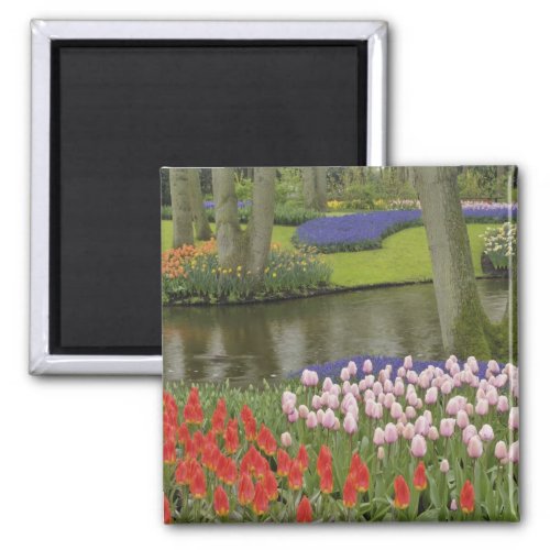 Pattern of tulips and grape hyacinth flowers magnet