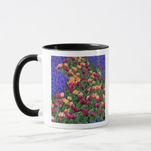 Pattern of tulips and Grape Hyacinth flowers, Mug