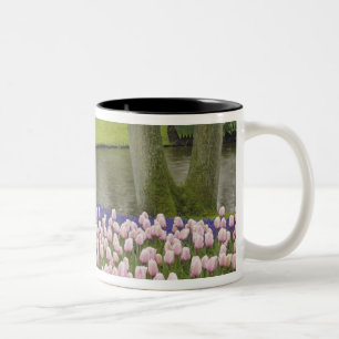 Pattern of tulips and grape hyacinth flowers, Two-Tone coffee mug
