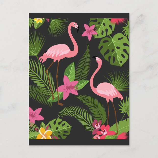 Pattern Peacock Pink with Flower  Postcard (Front)