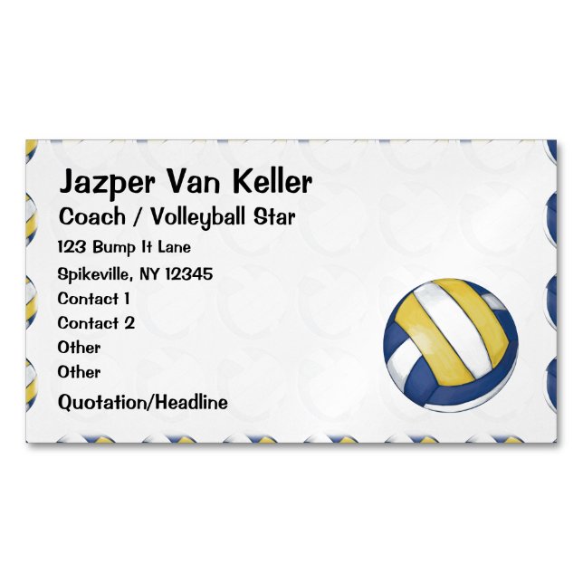Pattern with Painted Volleyball Business Card Magnet (Front)