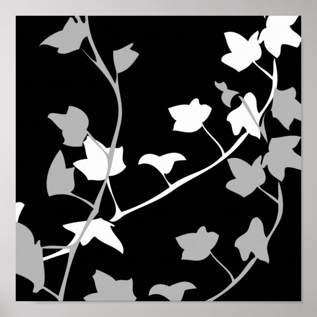 Patterns from nature 3 poster (Front)