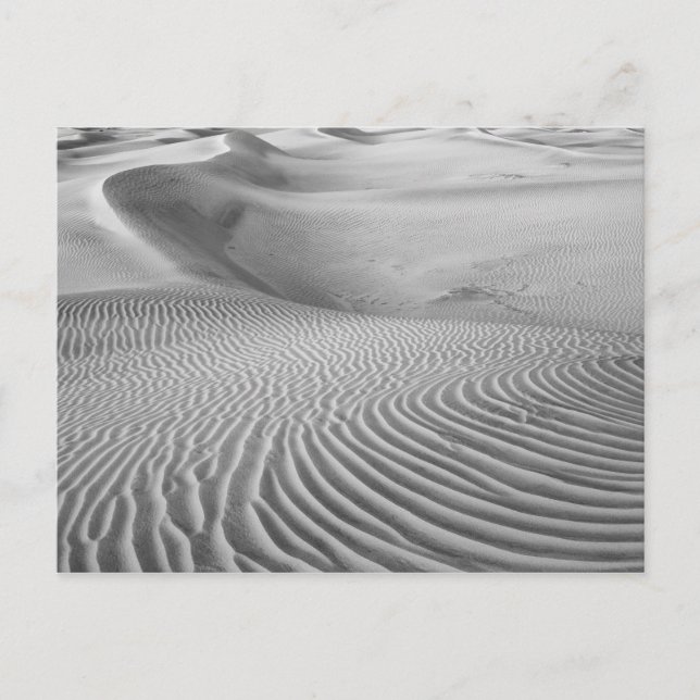 Patterns In The Sand Dunes Postcard (Front)