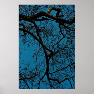 Patterns in the sky poster