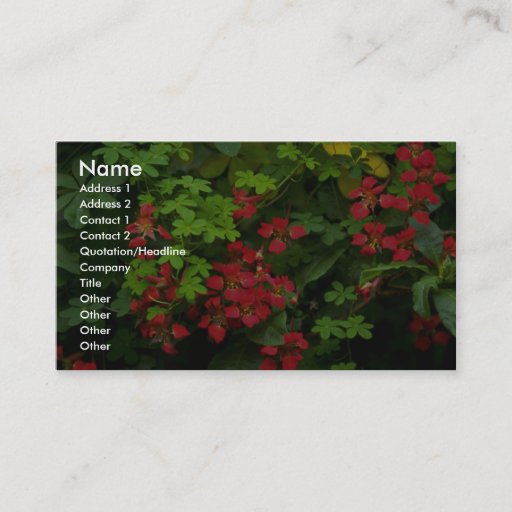 Customizable Patterns of nature business card template