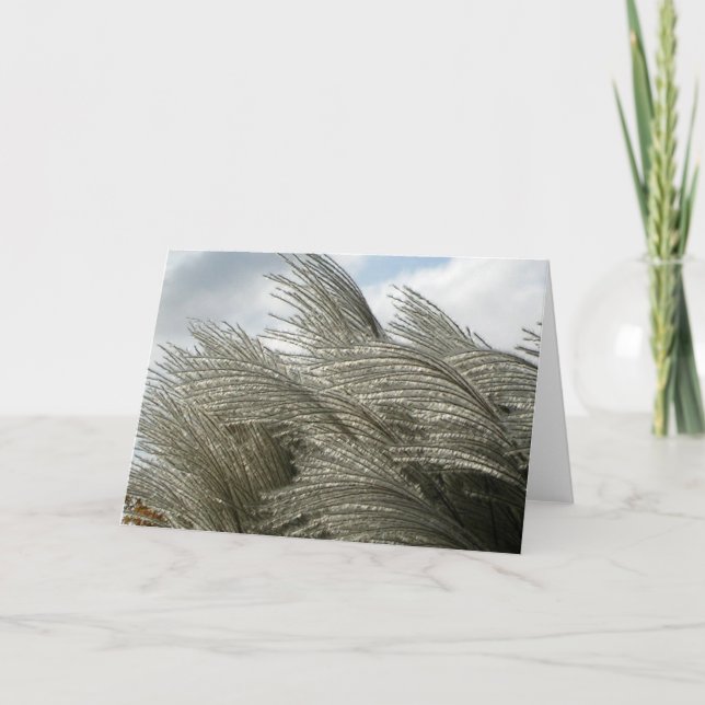 Patterns of Nature Card (Front)