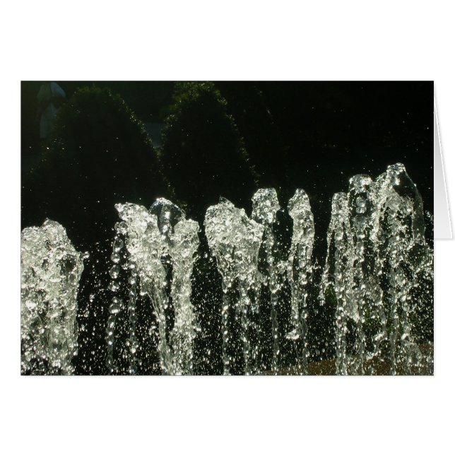 Patterns of Nature Cards (Front Horizontal)