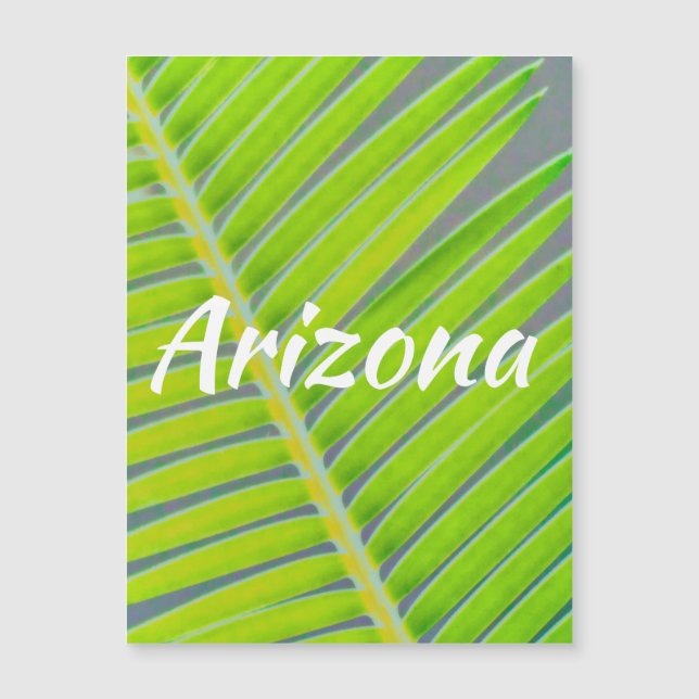 Patterns of Palms, Arizona (Front)