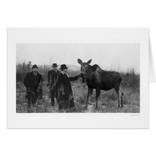 Patting a Moose Photo 1921 (Front Horizontal)