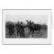 Patting a Moose Photo 1921