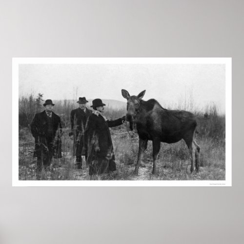 Patting a Moose Photo 1921 Poster