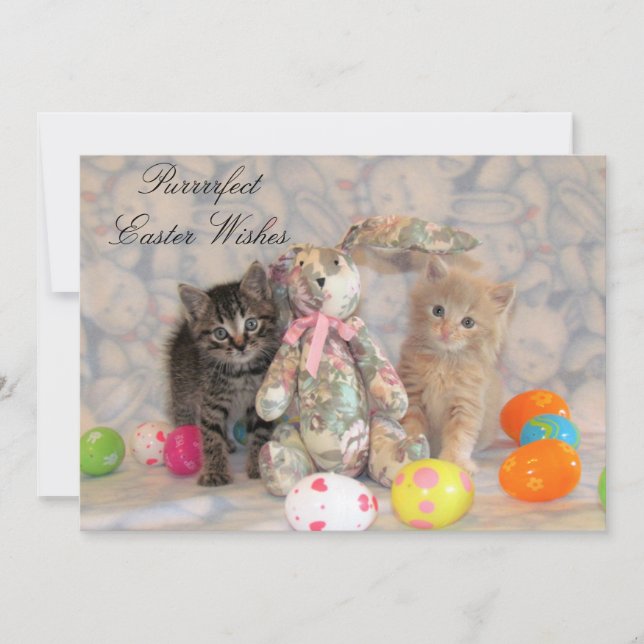 Patton & Buffington Easter Cat  Holiday Card (Front)