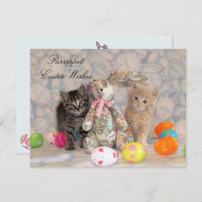 Patton & Buffington Easter Cat  Holiday Postcard (Front/Back)