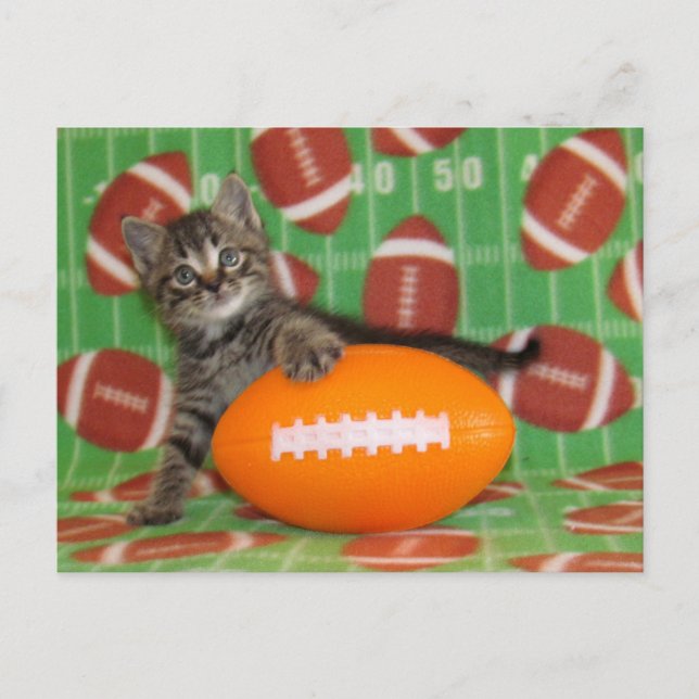 Patton Plays Football - Cat Postcard (Front)