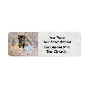 Patton's Easter Address Labels - Cat / Kitten