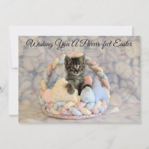 Patton's Easter Basket - Cat/ Kitten - Flat Card