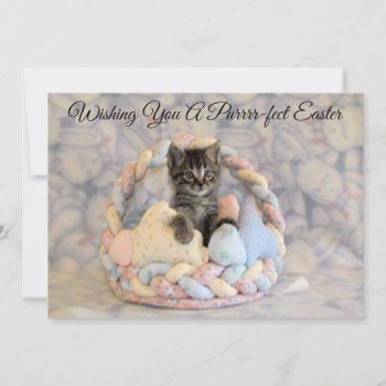 Patton's Easter Basket - Cat/ Kitten  - Flat Card