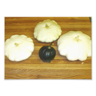 Patty Pan Squash And Acorn Squash Photo Print