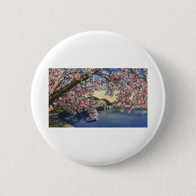 PAU43 Tidal Basin.tif Button (Front)