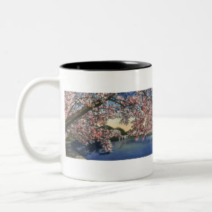 PAU43 Tidal Basin.tif Two-Tone Coffee Mug