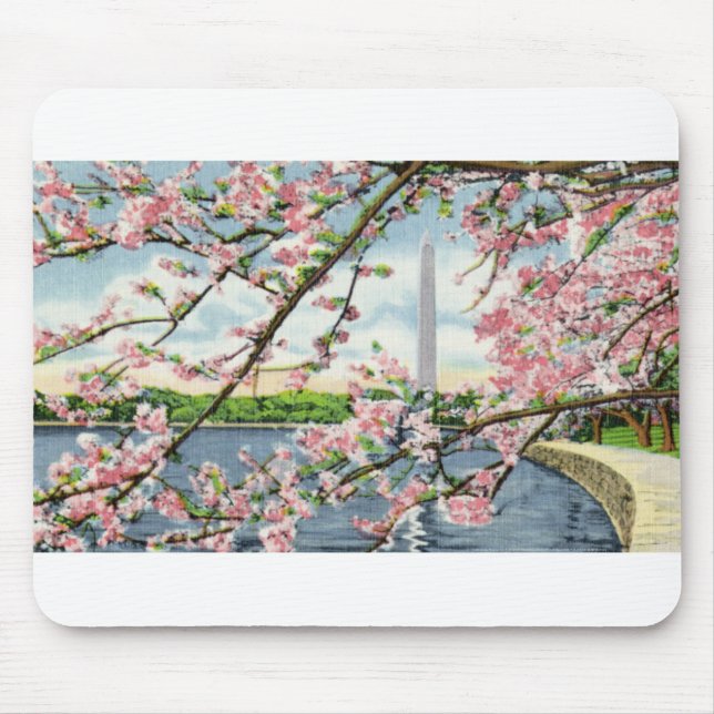 PAU45 Washington Monument 2.tif Mouse Pad (Front)