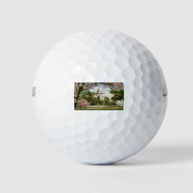 PAU46 US Capitol.tif Golf Balls (Front)