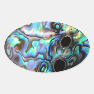 Paua abalone blue and green shell detail oval sticker