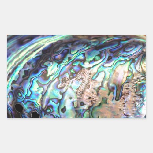 Paua abalone blue and green shellfish detail rectangular sticker
