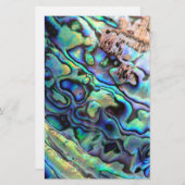 Paua abalone shell detail (Front/Back)