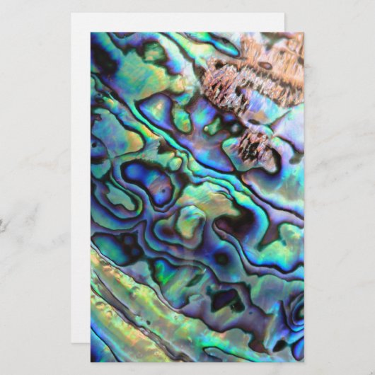 Paua abalone shell detail (Front/Back)