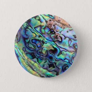 Paua Abalone Shell Detail Pinback Button by PKphotos at Zazzle
