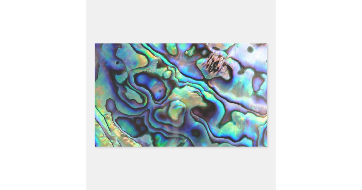 Paua abalone shell detail rectangular sticker | Zazzle