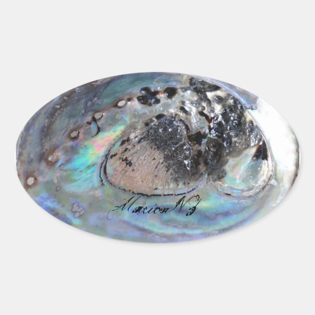 Paua Sticker (Front)