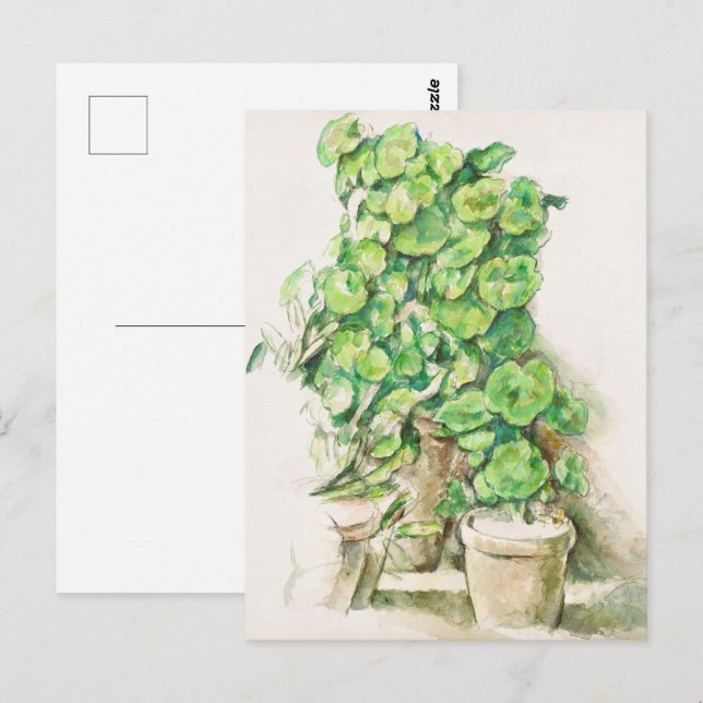 Paul Cézanne Geraniums Still Life Botanical Postcard (Front/Back)