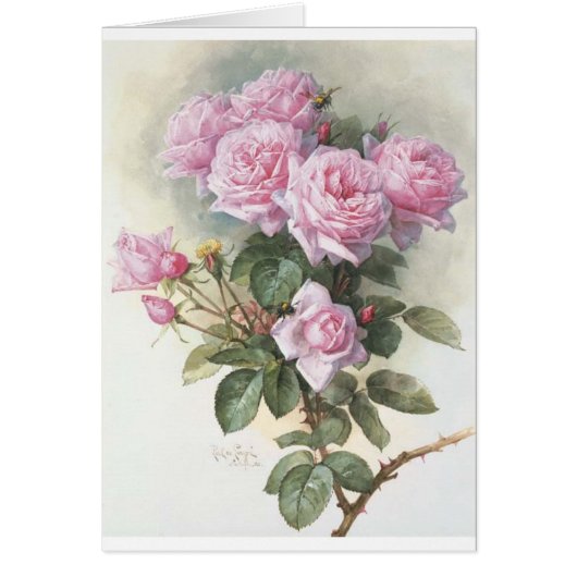 Paul_de_Longpré_-_Roses_and_Bumblebees,_1899 Cards (Front)