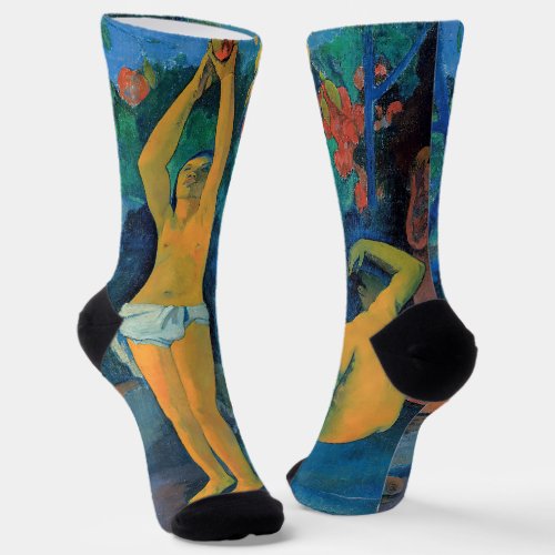 Paul Gauguin _ Where Do We Come From Socks