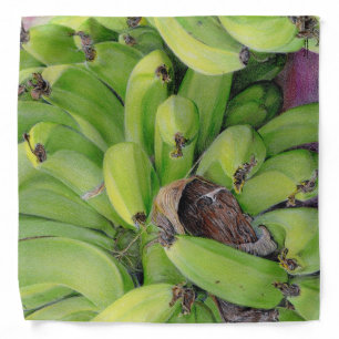 Paul McGehee "Bananas" Bandana