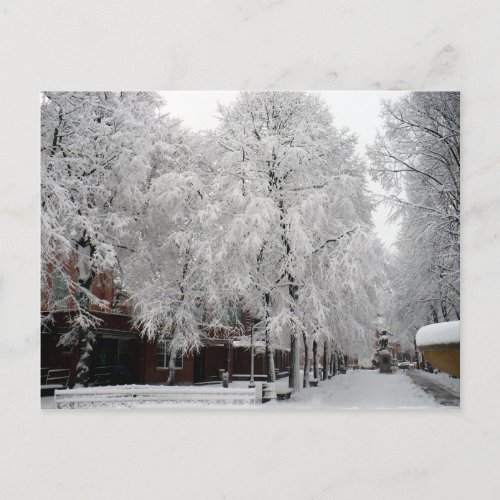 Paul Revere Mall Trees covered in Winter Snow Postcard