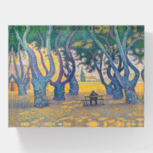 Paul Signac - Place des Lices, Saint-Tropez Paperweight