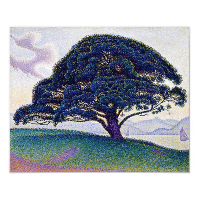 Paul Signac - The Bonaventure Pine Photo Print (Front)