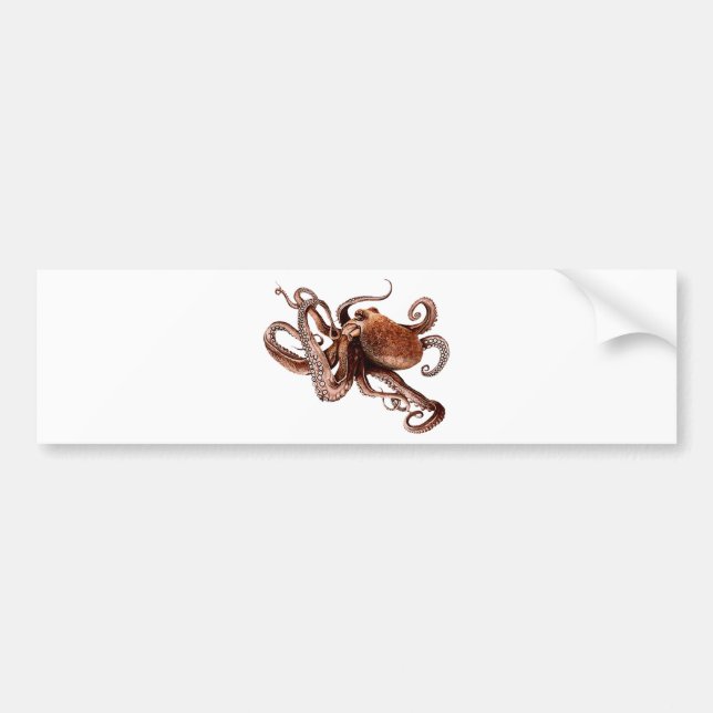 Paul The Octopus Bumper Sticker (Front)