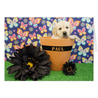 Paul, week 5 photo cards